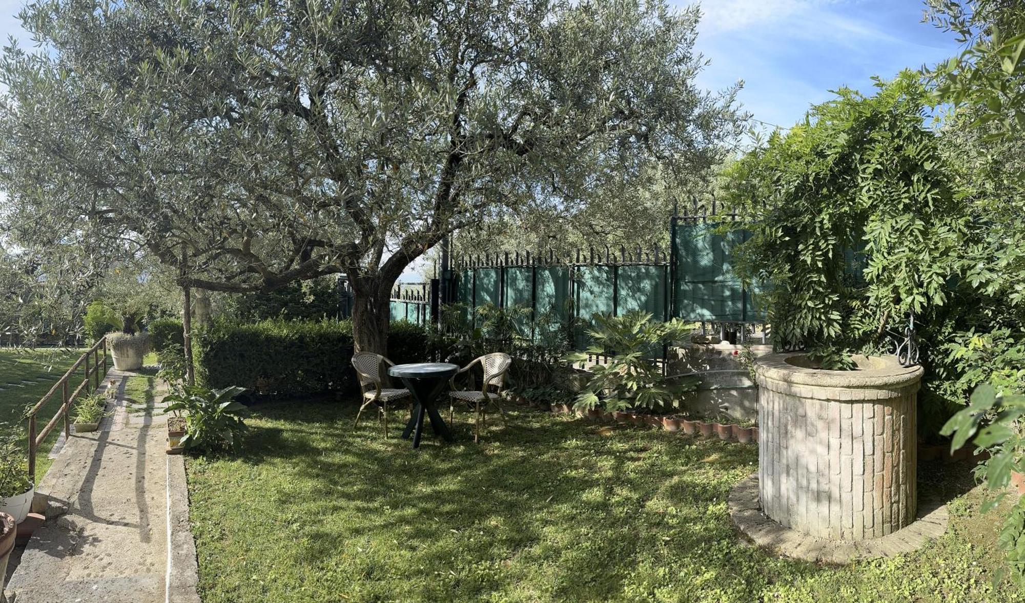 סנט'אנטוניו אבאטה Villa C Luxury Estate מראה חיצוני תמונה