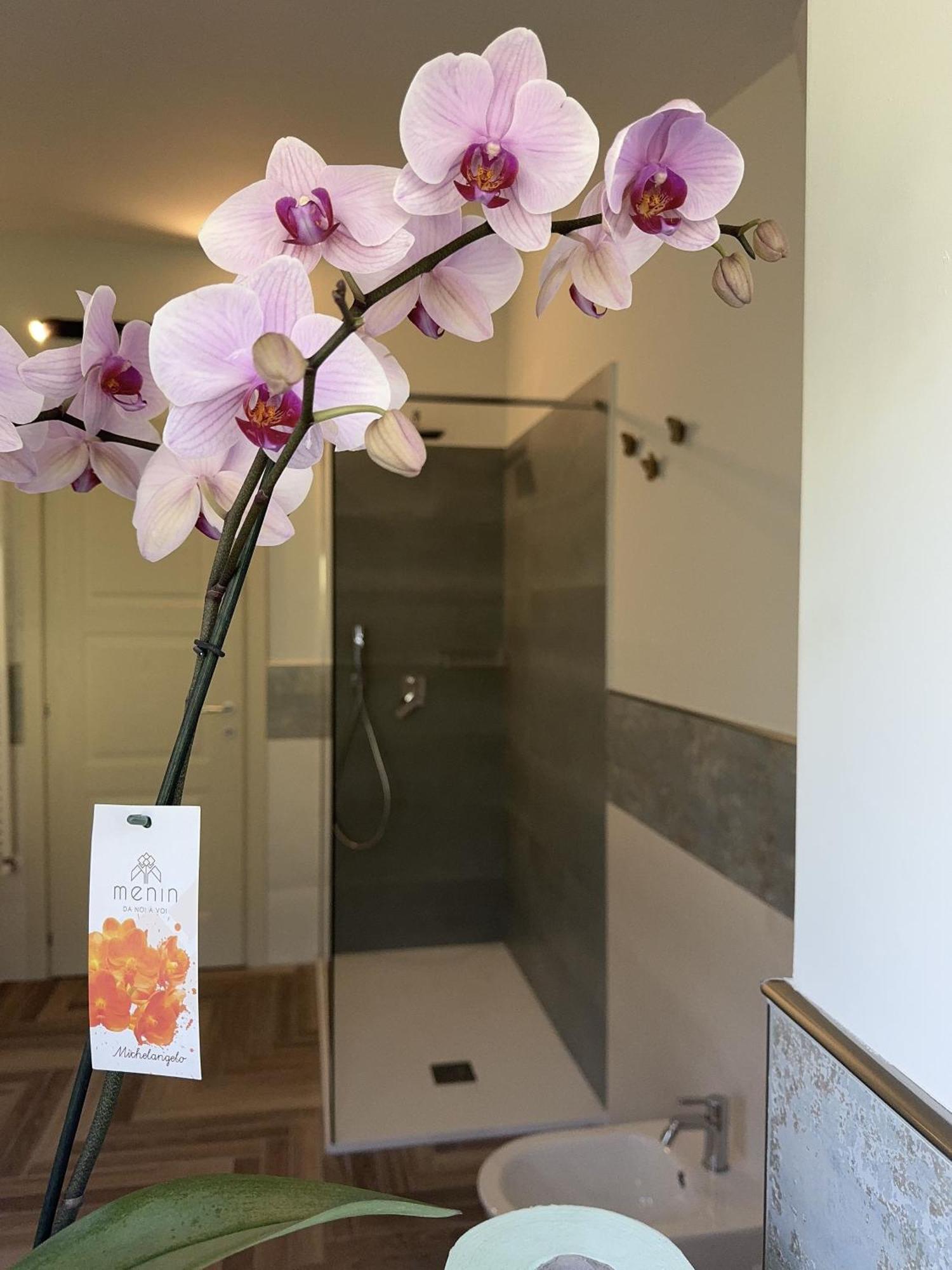 סנט'אנטוניו אבאטה Villa C Luxury Estate חדר תמונה